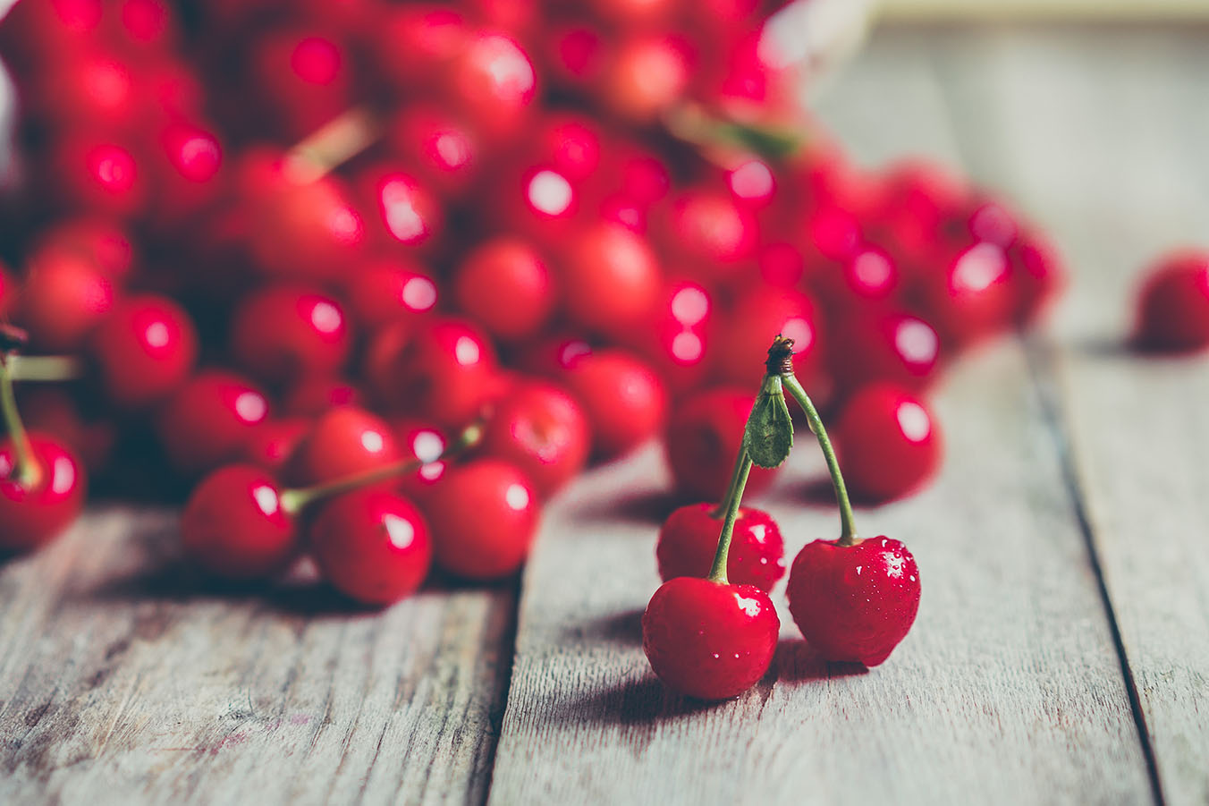 Whether it's creating a divine design, customising your image, or coordinating your marketing - we're simply delicious! Extra cherry bites!